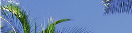 www.traveljungle.co.uk